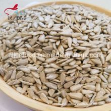 Exporting High Quality and Best Price Sunflower Seed Kernel